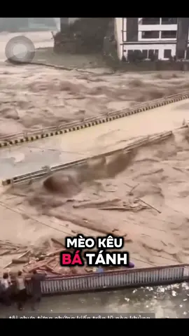 Ráng lo tu niệm đặng THẦY cứu cho 🙏🙏🙏🙏🙏🙏🙏#phat #phatphapnhiemmau #phatphap #phatphapvobien #phatgiao 