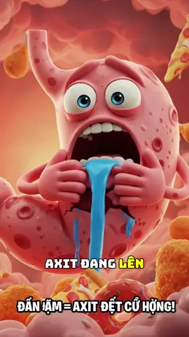 Dạ dày: Lò phản ứng đang bốc cháy!!! #tamchuyensuckhoe #suckhoe #daday #LearnOnTikTok #xuhuong 