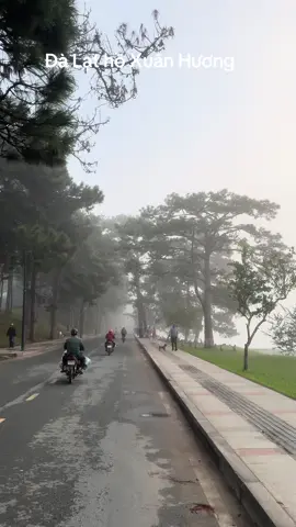 Đà Lạt hồ Xuân Hương Hồng Phương mến chúc cả nhà buổi trưa vui vẻ#dalat #thinnhhanhtiktokh #xuhuongtiktok #hongphuonghoteldalat #dalat 