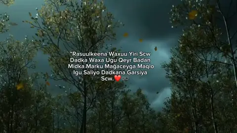 Hal qof udir saliga nabiga Scw ❤️ #foryoupage #fyp #somalitiktok #mogadishusomalia🇸🇴 #Abii 