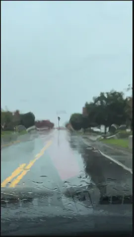 Part 2: Un idiota#songs #peak #fyp #daytwo #lyrics 