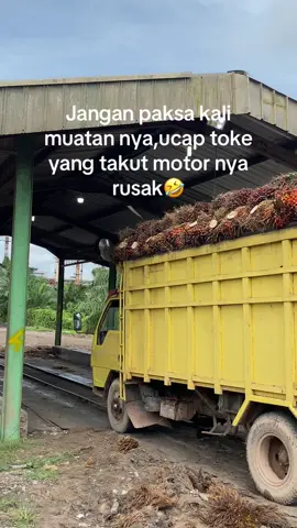 #ptpn4 #sawitajamu #drivermuda😎😁🤙🤪🤩 #brandafypシfouyoupage 