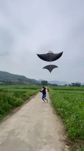 diều đểu sáo đểu bị idol @Min Min 🪁🍂 chê😔#xuhuong #dieusaovietnam #fpt 