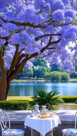 lelaki kaki sembang terutama cerita hantu samada live atau rakam video cakap sorang-sorang selalunya malas kerja, malas mandi, malas tukar baju dan malas kemas bilik apalagi kemas rumah dan cuci tandas, SUNYI, takde life atau takde life sangat, hidup tak meriah dan tak berapa nak meriah dan LEMAS. lelaki kaki sembang selalunya baju bau hapak, kuku hitam, muka berlubang dan berminyak kerana dah berpuluh atau berbelas tahun lalu malas cuci dan jaga kebersihan, rambut berminyak dan panjang dan tak nampak kemas. lelaki yang kuat bekerja selalunya bukan jenis kuat bersembang. lelaki yang kuat bersembang selalunya kerja asyik bersembang. sembang online ni sama macam sembang zaman tokwan dan ayah kita sembang kedai kopi bagi lelaki yang suka sembang dan main dam bawah pokok melainkan tajuk dan topik itu ilmiah dan bermanfaat untuk dunia dan akhirat umat sejagat. sembang online bukan taraf ceramah ilmiah atau  bab agama itu sedikit berbeza dari podcast yang jemput tetamu kongsi pelbagai ilmu dan pengalaman yang selalunya random melainkan podcast tema TAK BERMANFAAT yang genre sama tetamu berlainan cerita berbeza yang host, tetamu dan semua yang terlibat buang masa walaupun tak buat khurafat dan maksiat tanggung dosa buang masa sebab paling tidak 5 minit atau 2 jam tunggu nak bagi habis cerita dok tercegat. kita boleh ikut orang atau program dan ikuti tajuk dan episod tapi pilihlah yang kita tak perlu bertanggungjawab.  kita boleh pilih sebab kita ada akal untuk memilih sesuatu pilihan yang membuat kita bebas dan merdeka masa depan Allah nak kena jawab.