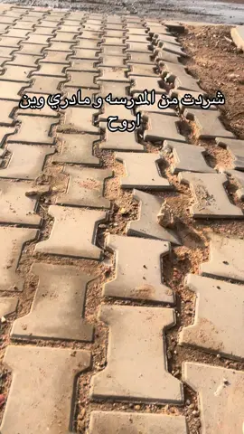 ابتليت بلوه #fyp #fypシ #viral #fyppppppppppppppppppppppp #الشعب_الصيني_ماله_حل😂😂 