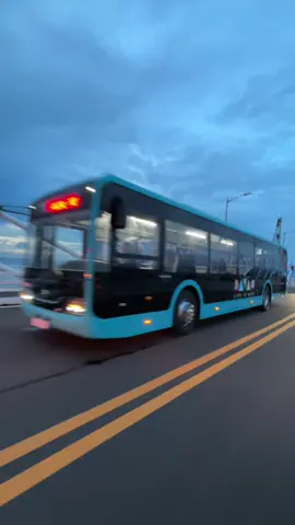 pero no need na jud mupara kay muhunong jud siyag bus stop 🤣 #davao #davaobusproject #davaocity #coastalroad 