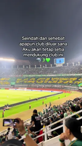 🦈🐊💚#persebayaselamanya #persebayasurabaya #persebaya #bonekmania #bonekbonita 