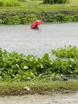 #foryou #video #vairal #viralvideo বিষয়টা  একবার চিন্তা করা যায় 🙂🤣 কিছুদিন আগের বিডিও 🙂