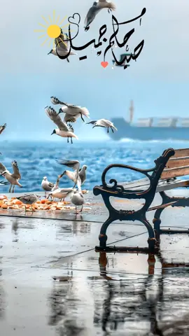 #دعاء_الصباح #دعاء_يريح_القلوب #دعاء_مستجاب #دعاء#صباح_الخير 