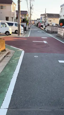 Tadaima…#japan #japanvibes #japanstreet #fyp 