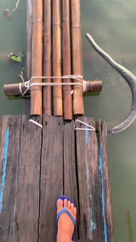 🌻#branjangrawapening #branjanganmania #rawapening #branjangan #fypシ 