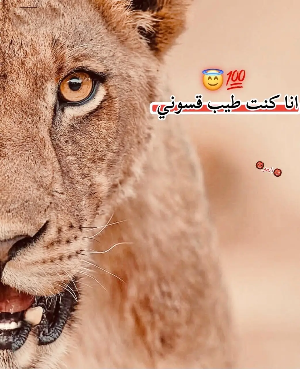 # انا كنت طيب كسرونا#اكسبلور 