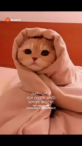 #duet with @𝑨𝑭 ♡ 𝑴𝒐𝑫𝒐𝑵 #islamic_diary3 