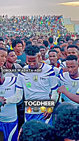 #creatorsearchinsights #somalilandtiktok💚🤍❤ #froyoupage♥️ 