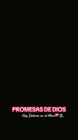 #PRIMICIA/PROMESASDEDIOS#alabanzas_cristianas❤️🙏🏼🌸👏🏻📸♥️ #musicascristianas @Brayan🎹 @🎹 Iván Ortiz paz 🇵🇪 