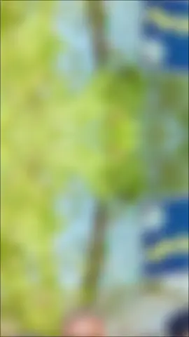 #macarenaremix #CapCut  #ليك______🖤___متابعه____اكسبلووور #جحو_الشغل_جيش🤍💛 