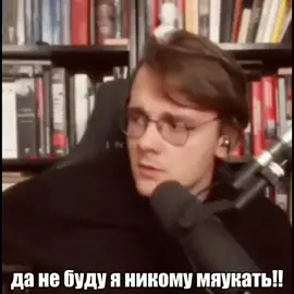 #meowmeow #trend #рекомендации #штефанов 