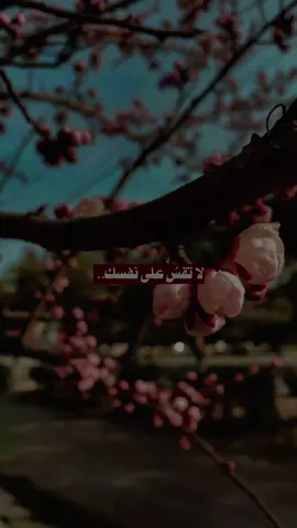 إن لم تكن أنت سندك… فلن يكون أحد مكانك 👌🏻❤🌹