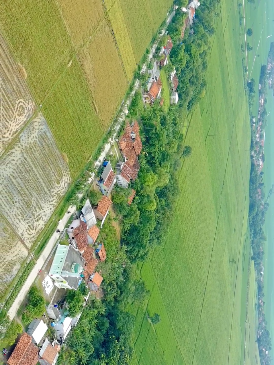 lembur kuring barudak!!! #karawang #CapCut #pesawahan #fyp 