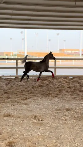#صباح_الخير🤍