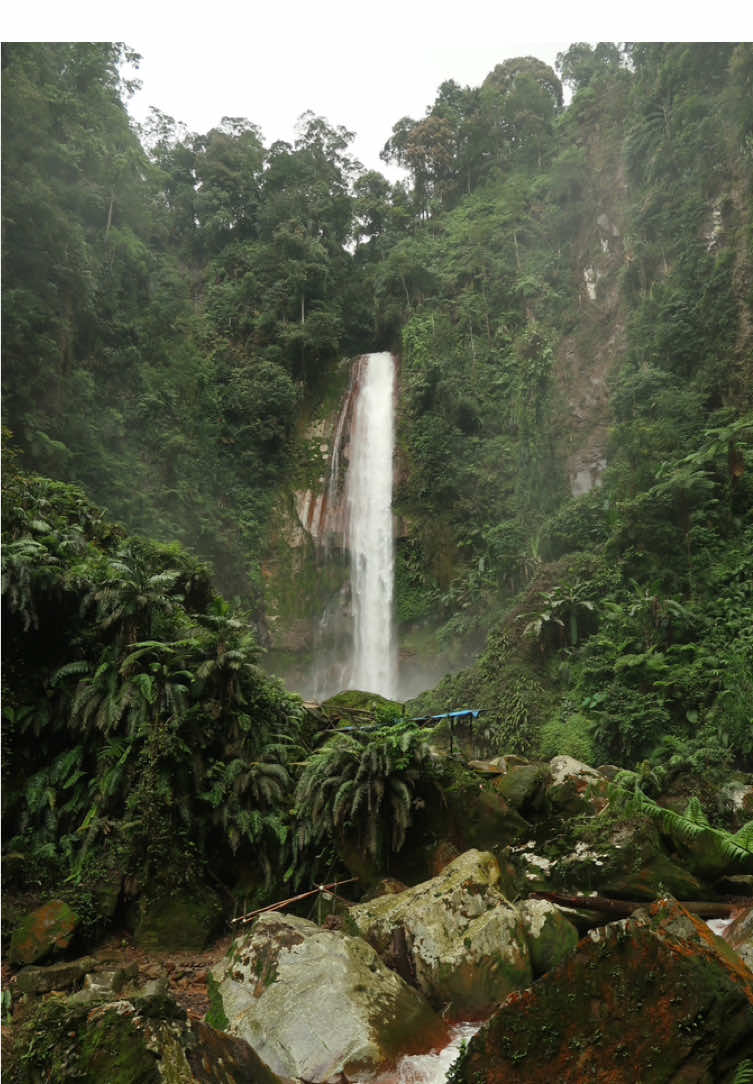 relax, because everyone leaves eventually.