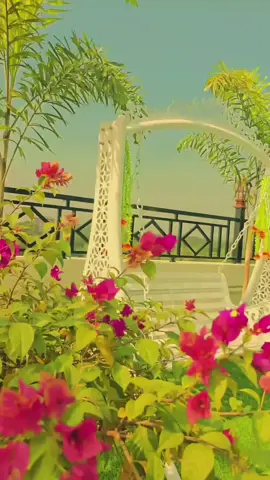 📍Skyview restaurant, Chatkhil, Noakhali 📍🥂 #fyppppppppppppppppppppppp #foryou #100k #vairal #CapCut 