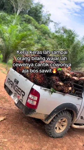 😋#sawittiktok🌴🌴🌴 #masukberanda #petanisawit #bosmuda #kerjakeras #sawit🌴 #mobillangsirsawit #fyp 