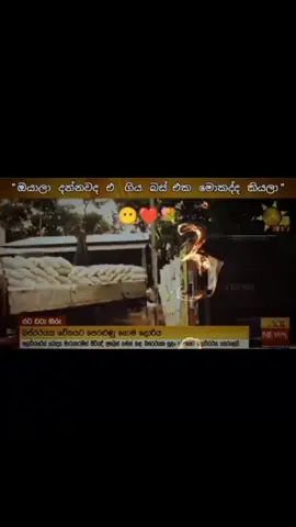 #hilights  @mignon_red_mark_official  💋❤️