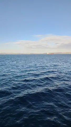 #بتمون #بصوت #امال_ماهر #تصويري #اليسا 