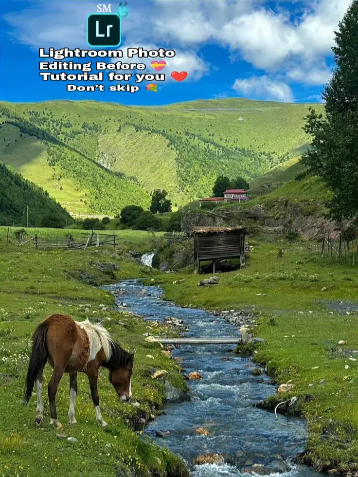 #lightroomphotoediting #foryoupage #goviral #trending #foruyou 