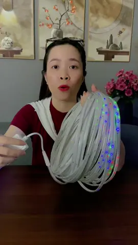 Đèn led trang trí Tết đang sale rẻ #denledtrangtri #denledduoi #xuhuong 