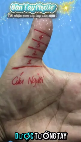 [Phần114]Bàn Tay Phục Dược#luangiaichitay #xemchitay #xemtuvi #fyp #viral 