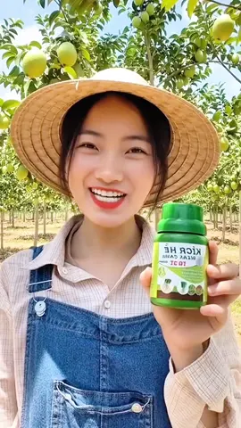 Mua 1 tặng 1, kích rễ cực mạnh, nở bụi cực to #phanbon #kichre #phanbonla #phanbonhuuco #nongnghiep 