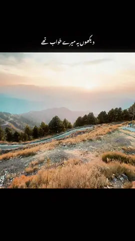 #CapCut #poetry #vira #sad #emotional 