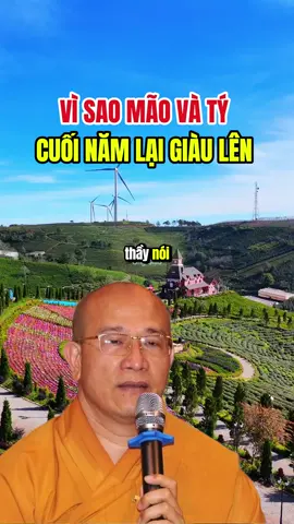 Vì sao Mão và Tý cuối năm lại giàu lên… #tuoimao #tuoity #tuvi12congiap #phongthuytamlinh #phatphapnhiemmau 