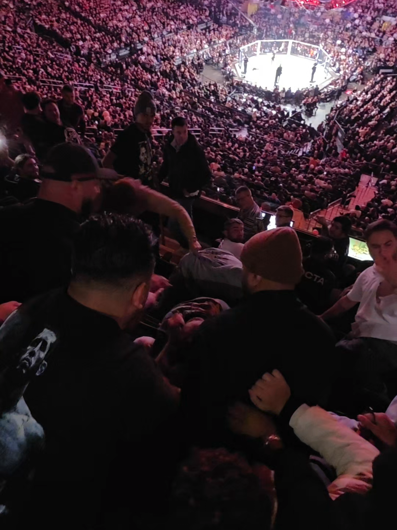 arrogant people ruining it for others  #UFC #ufc322 #brawl  #islammakhachev 