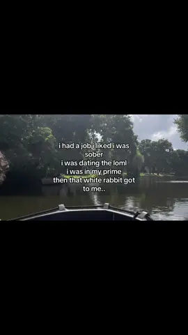 that damn rabbit gets to everyone 🫩