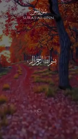 | سورة الجن | القارئ  : عبدالله احمد شعبان #القران_الكريم_راحه_نفسية😍🕋 #القران_الكريم #اكسبلور  #quran_alkarim #quran 