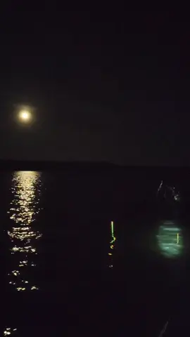 lại móm kkk #câucagiaitri #vietnamfishing #câu_đài #sangrophi #xuhuongtiktok 