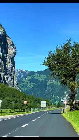 #fyp #ياه_يا_زمان_يا_ياللى_ظلموك_من_زمان_يا_زمان #ولاد الحلال #وردة_الجزائرية 