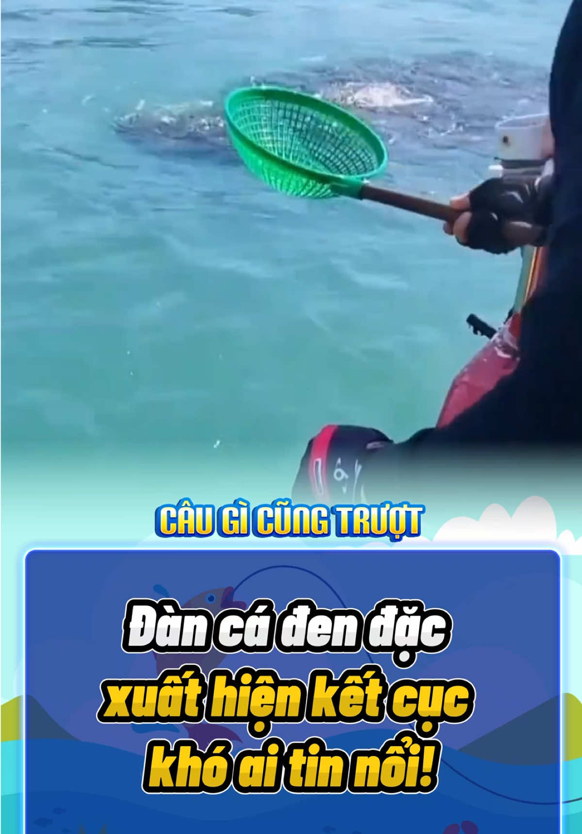 Đàn cá đen đặc xuất hiện kết cục khó ai tin nổi! #fishing #fishinglife #rarecatch #fishingtok #foryou 