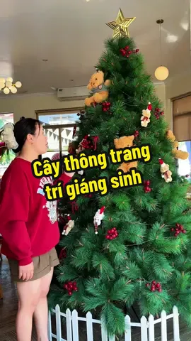 Cây thông trang trí giáng sinh #caythongnoel #caythongtrangtri #caythonggiangsinh #lieuthinodaily 