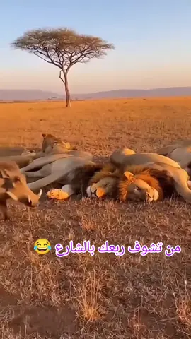 #منشن #البيست_فريند #😂😂 