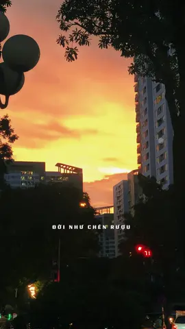 Đời như chén rượu#xuhuong #nhacbuon #nhachaymoingay #nhacxuhuong #nhacsuy  