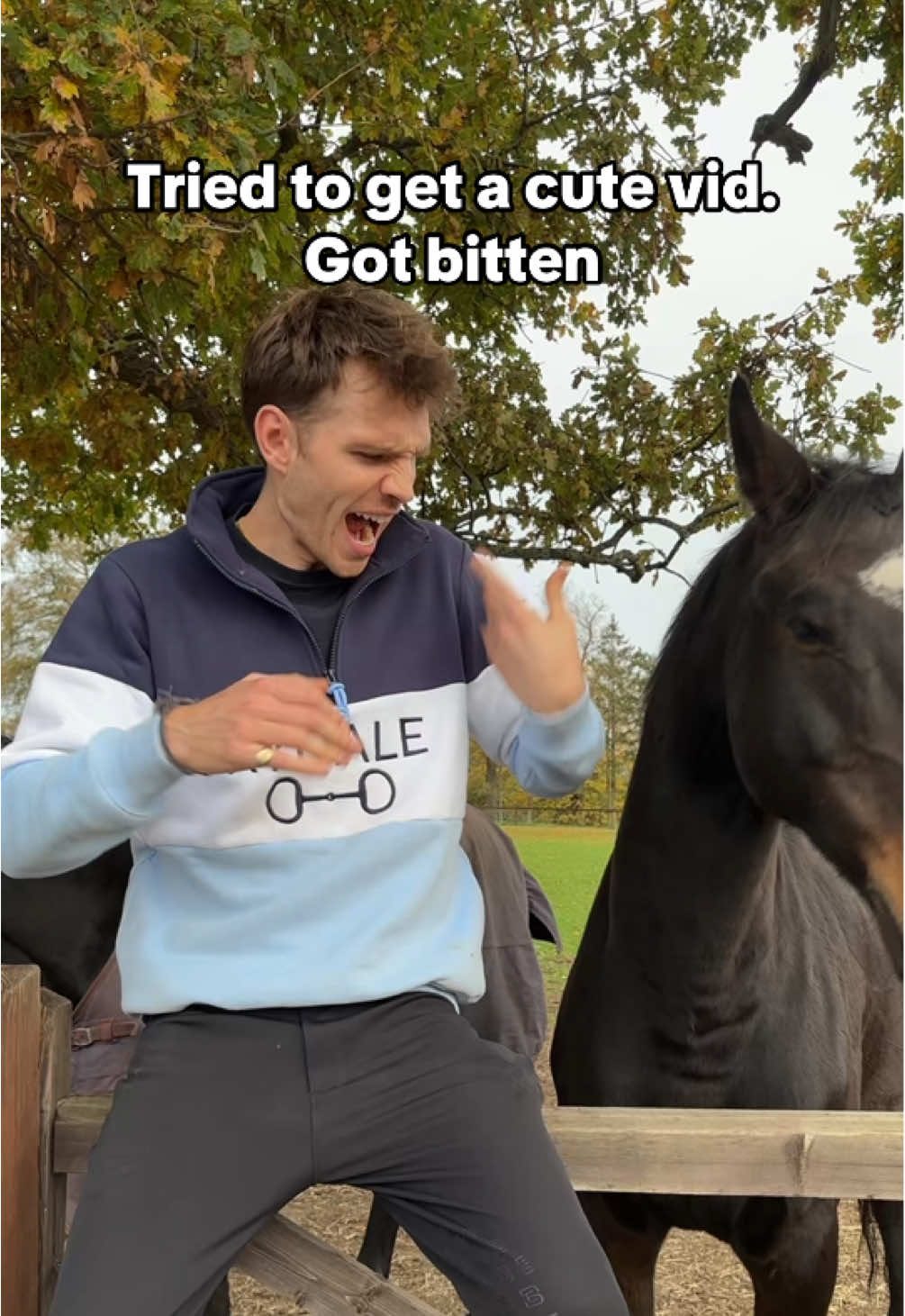 Not Lotus licking his lips after #horse #equestrian #fail @Millie Stennett 