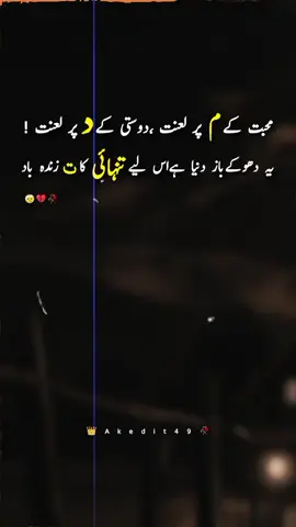 Part 13:🤕💔🥀 . . akedit49 #fyp #poetrystatus #foryoupage #creatorsearchinsight #unfreezemyacount @𓆩•معصوم•𓆪 @🍁 Durrani 🥀 @TikTok Pakistan @- 💔 