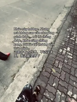 Khúc này hơi bạc. Nhưng mà không sao vẫn còn gồng gánh được... nói thì chẵn được, khóc cũng chằng xong. Đôi lúc tôi thương tấm thân mình.. 这部分有点伤感。不过没关系，我还能坚持下