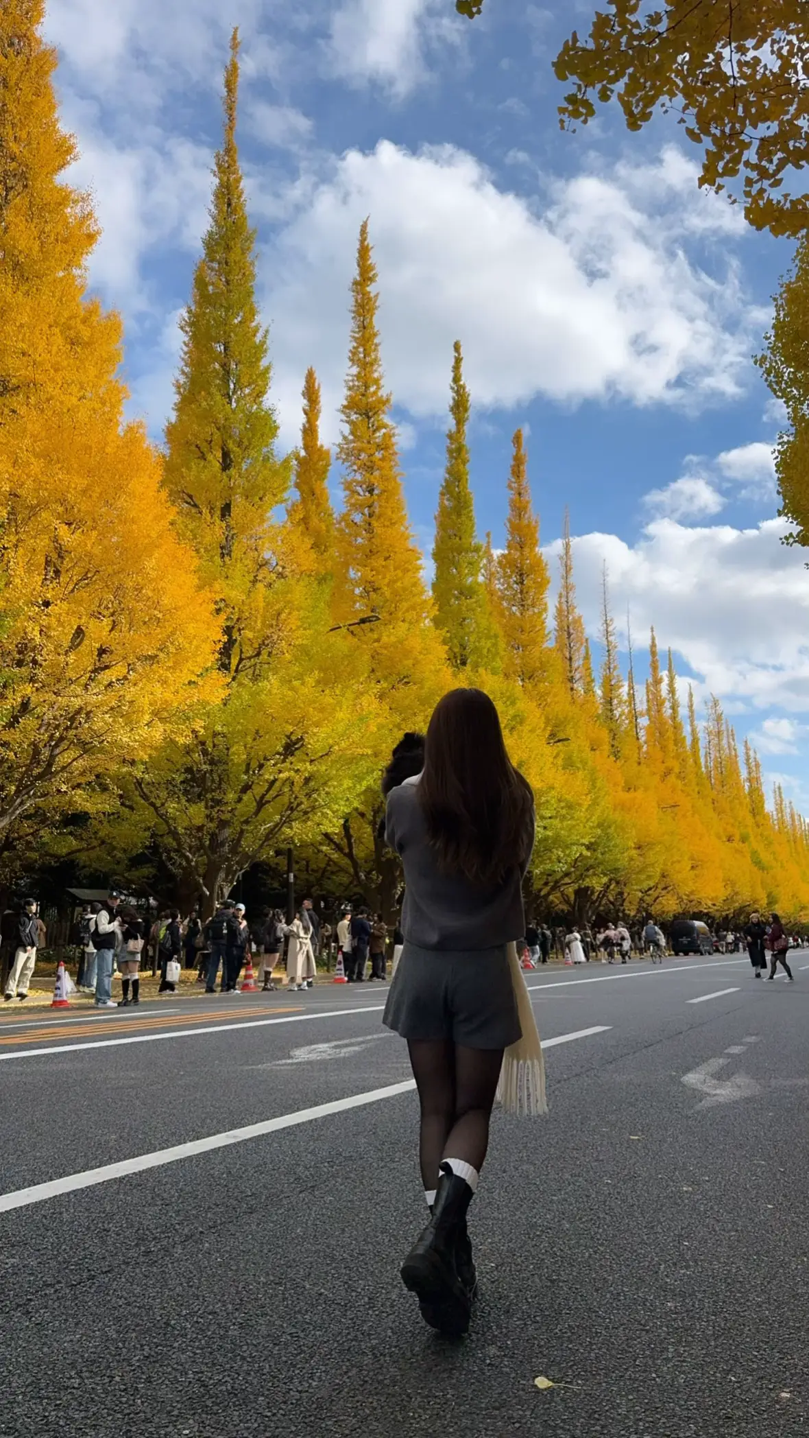 毎年恒例の外苑前銀杏並木へ今年も…❤︎ 空の色と銀杏の黄色の色味が綺麗すぎた💛🩵 とっても見頃でした平和な休日🐶🤎🐾 #外苑前銀杏並木#秋コーデ#コーデ#ファッション#休日の過ごし方