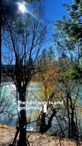 #naturevibes #traveltok #northerncalifornia #nationalpark #drive 