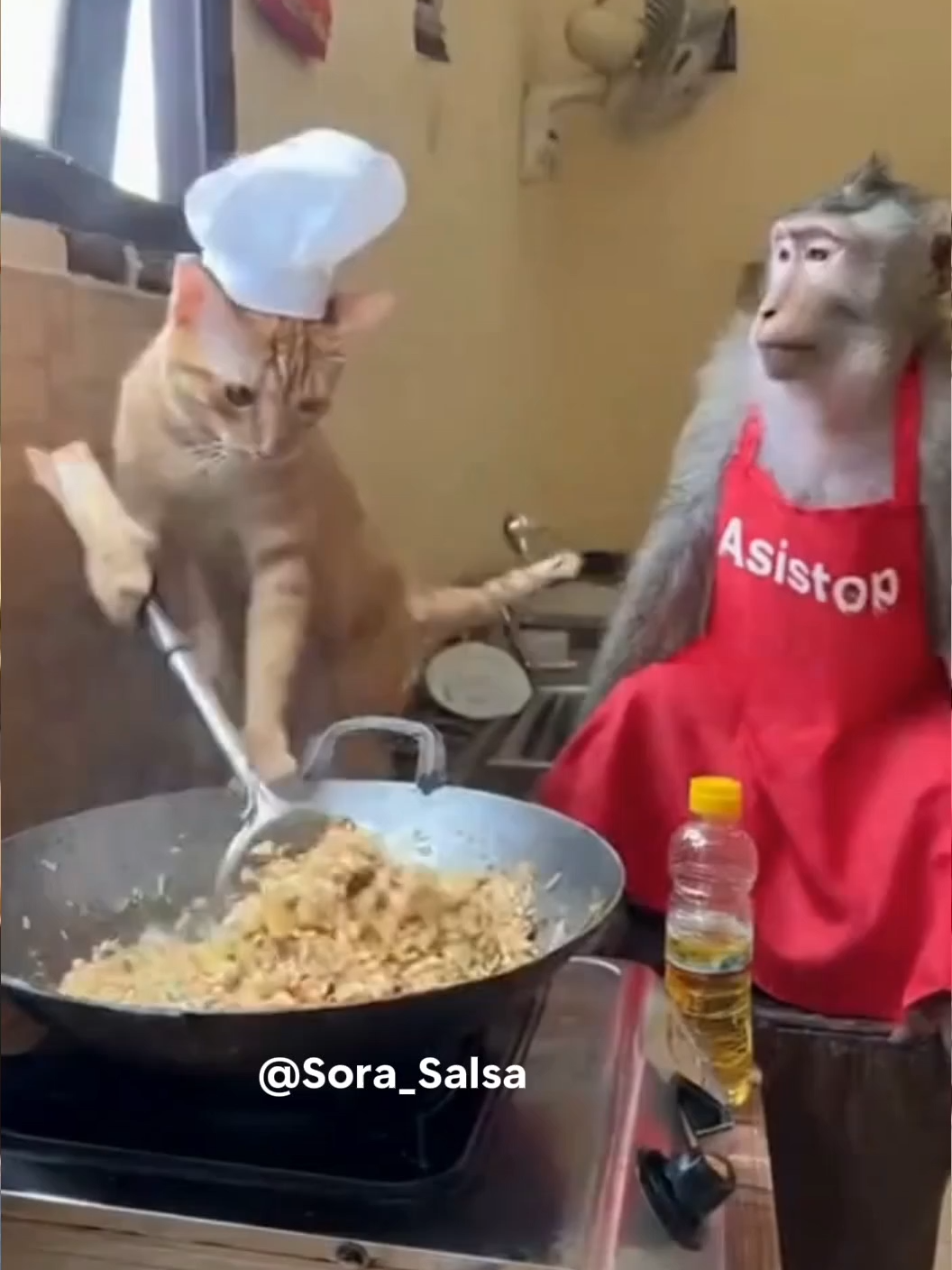 Oyen dan Onyet DAY-1 Trial resep Jualan Nasgor..🤣🤣🤣 Oyen effort nya sudah maximal eh si Onyet Miskomunikasi😹😹😹 #fyp #kucinglucu #cat #sora #ai #fypindonesia #monyetlucu